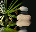 Graphic composition with balancing pebbles and papyrus foliage Royalty Free Stock Photo