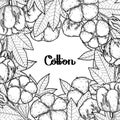 Graphic cotton plants