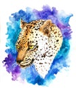 Leopard head. Illustration of a leopard head. Neon background element a leopard head Royalty Free Stock Photo