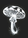 Forest mushroom. Graphic miniature mushroom drawn in white watercolor. Royalty Free Stock Photo