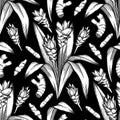 Graphic curcuma pattern