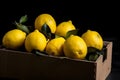 Lemons on a dark background. The lemons are arranged in a natural way, giving them an authentic look.