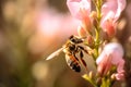 Bee on a beautiful yellow background of flowers.