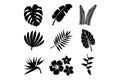 Collection of black silhouette tropical leaves and flowers on a white background Royalty Free Stock Photo