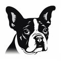 Graphic Design Flair: Boston Terrier Silhouette On White Background Royalty Free Stock Photo