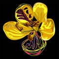 Graphic design,Cassia flower in abstract style on black background