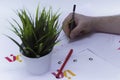 Graphic designer draws a logo in a creative studio on a light background with a flower in a pot and prints