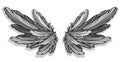 Graphic detailed angel or bird wings vector