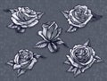 Graphic detailed cartoon rose bud vector set