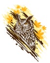 Graphic detailed colorful owl with yellow eyes