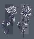 Graphic detailed graphic roses with stem set