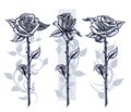 Graphic detailed graphic roses with stem set