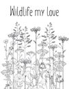 Graphic drawing - field plants and flowers in the wildlife, detail painted, background, frame, decorative and vintage illustration