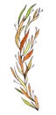 Graphic drawing twig with yellow-green narrow leaves
