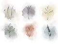 Graphic drawings of plants with a watercolor background.