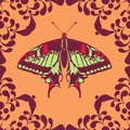 Graphic element with butterfly Royalty Free Stock Photo
