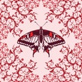 Graphic element with butterfly Royalty Free Stock Photo