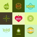 Graphic elements editable for design with fresh, nature, organic products. Royalty Free Stock Photo
