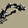 graphic engraving tree branch. Illustration of a tree branch with foliage