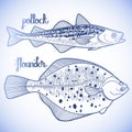 Graphic fish collection