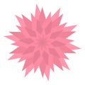 Graphic flower icon. Triangle star shape. Pink color. Cute abstract decoration element. Flat design. Isolated. White background. Royalty Free Stock Photo