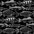 Graphic freshwater fish pattern