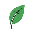 Graphic of a green leaf with a noticeable white midrib and black Royalty Free Stock Photo