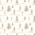 Graphic hand drawn scandinavian forest seamless pattern. Woodland plants, conifers trees pine, spruce, fir on beige