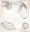 Graphic hand drawn vintage paper with cacao branch liner and stamps, postcard illustration, cocoa leaves and pod clipart