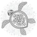 Vector illustration of sea turtle for Coloring book pages