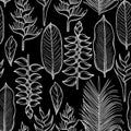 Graphic heliconia pattern