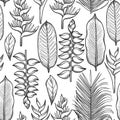 Graphic heliconia pattern