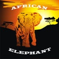 African elephant against the backdrop of the savannah and the setting sun. There is a vector CDR format.