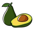 Graphic illustration of avocado