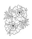 Graphic illustration of a bouquet of peonies line art sketch for tattoo