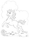 Cute foal illustration for coloring book Royalty Free Stock Photo