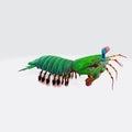 Graphic illustration of 3D rendered colorful shrimp isolated on the white background
