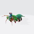 Graphic illustration of 3D rendered colorful shrimp isolated on the white background