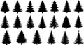 Collection of Black Fir Tree Silhouettes on White Background Royalty Free Stock Photo