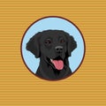 Happy Labrador Retriever. Portrait of a dog. Royalty Free Stock Photo