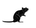 Graphic illustration of a realistic grey rat standing on its hind legs