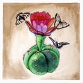 Graphic illustration of a watercolor cactus with butterflies. Royalty Free Stock Photo