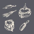 Graphic illustrations of miller stuff in vector. Hand drawn set of farm goods in engraving style.