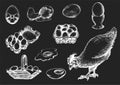 Graphic illustrations of poultry farm goods in vector. Hand drawn set of hennery production in engraving style.