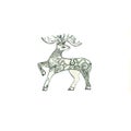 Deer. Beautiful decorative deer with big antlers wild, forest animals on white background.