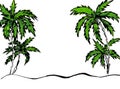 Graphic image of palm trees on a white background