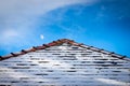 Graphic image of snowy rooftop with the moon behind.