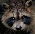 A graphic image of a young racoon