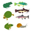 Graphic Images of Fish & Reptiles