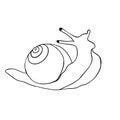 snail slug black lines white background Royalty Free Stock Photo